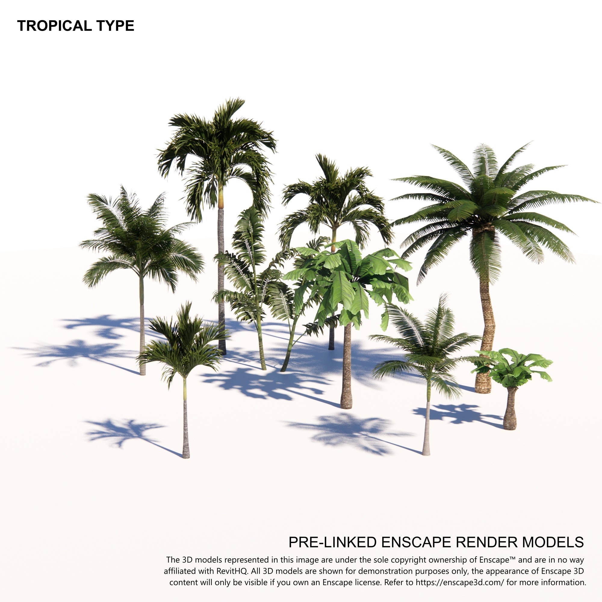 Enscape Hi Poly Tree Tropical Tree Pack – BIMcraftHQ