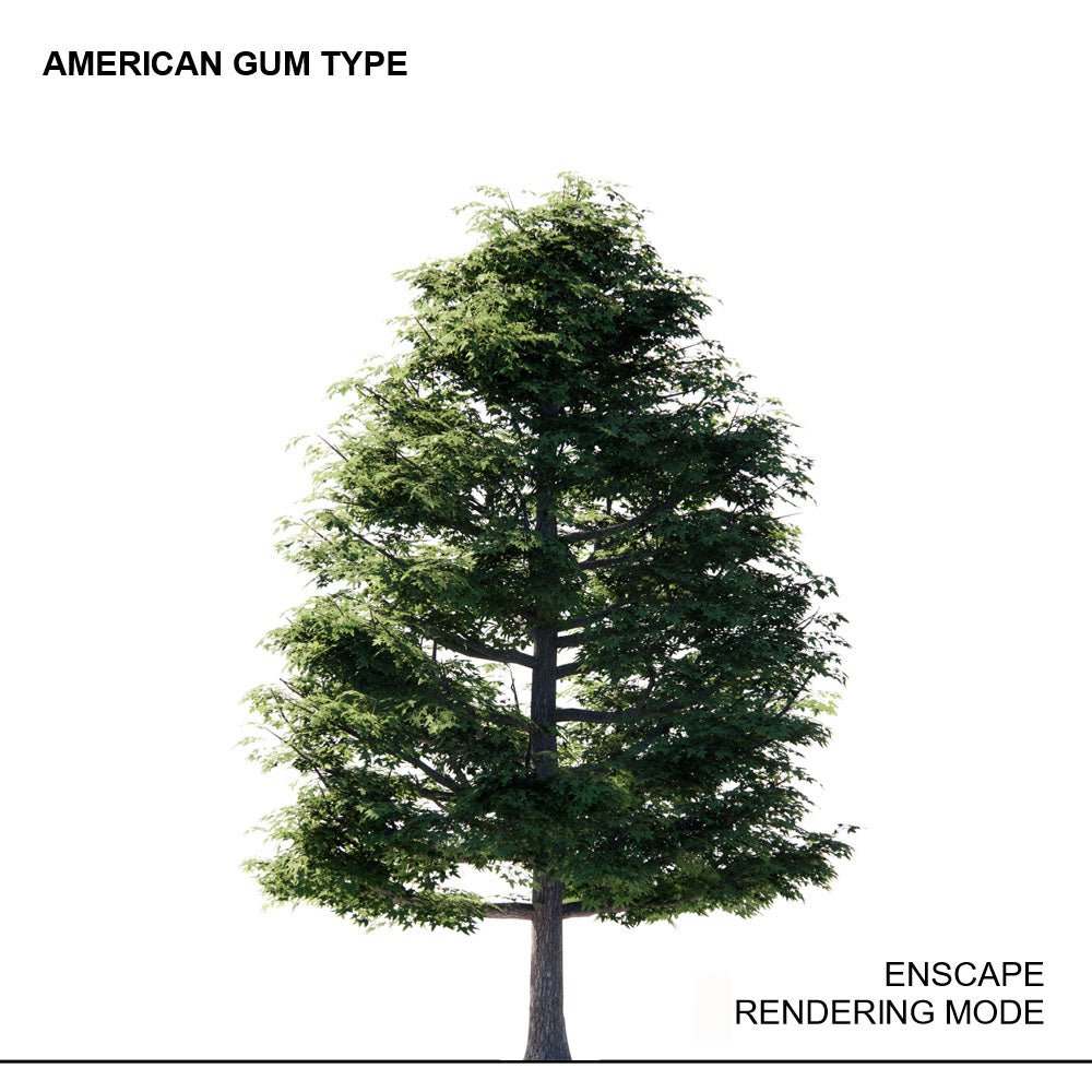 BIMcraftHQ - Planting - American Sweetgum Tree