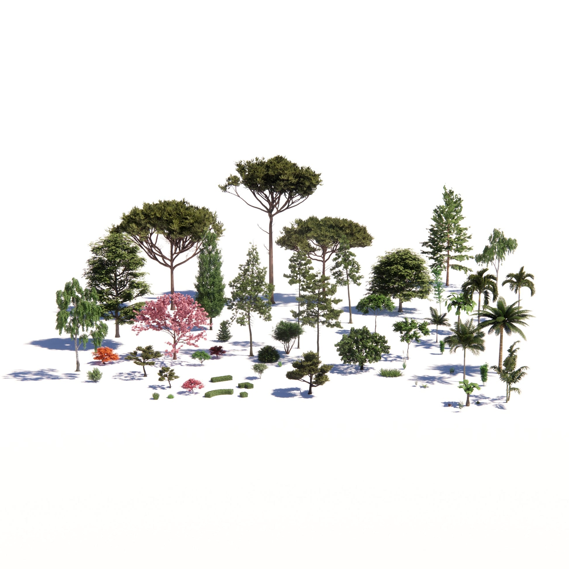 BIMcraftHQ - Planting - Planting Bundle