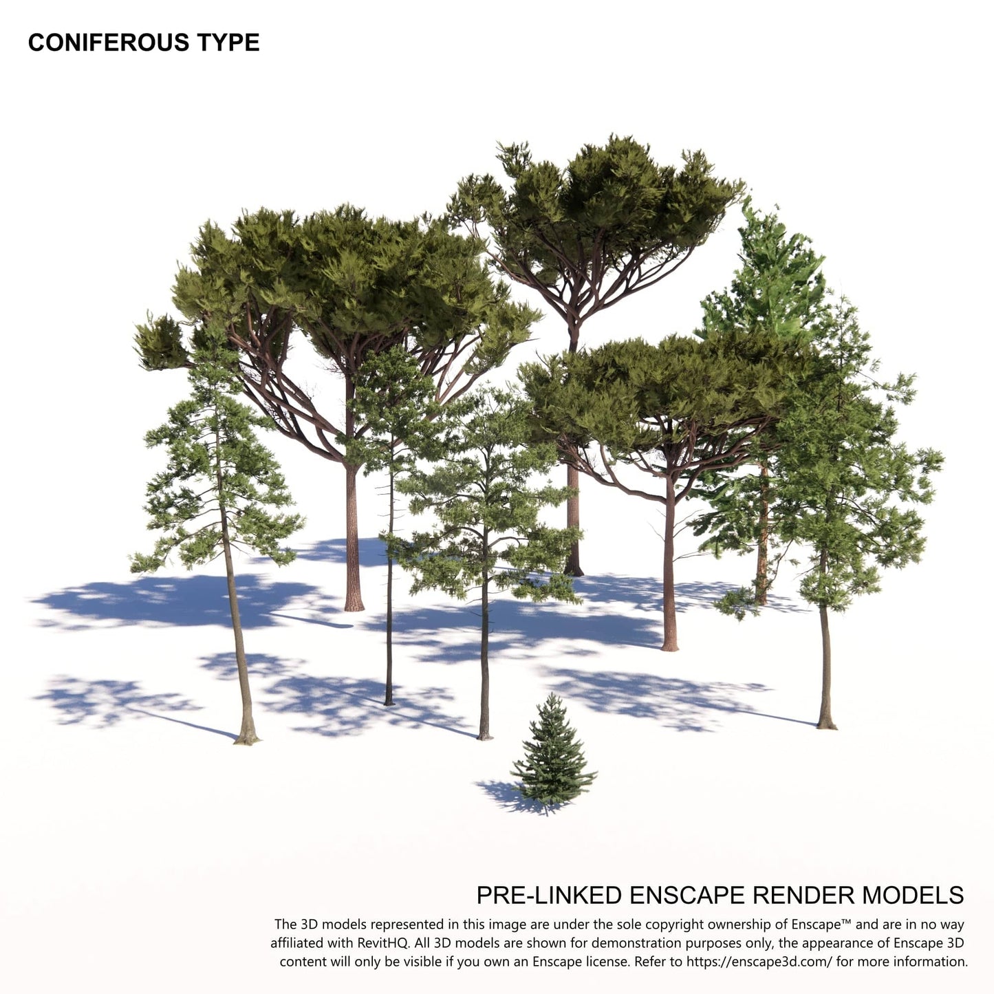 BIMcraftHQ-Planting-Coniferous Tree Pack