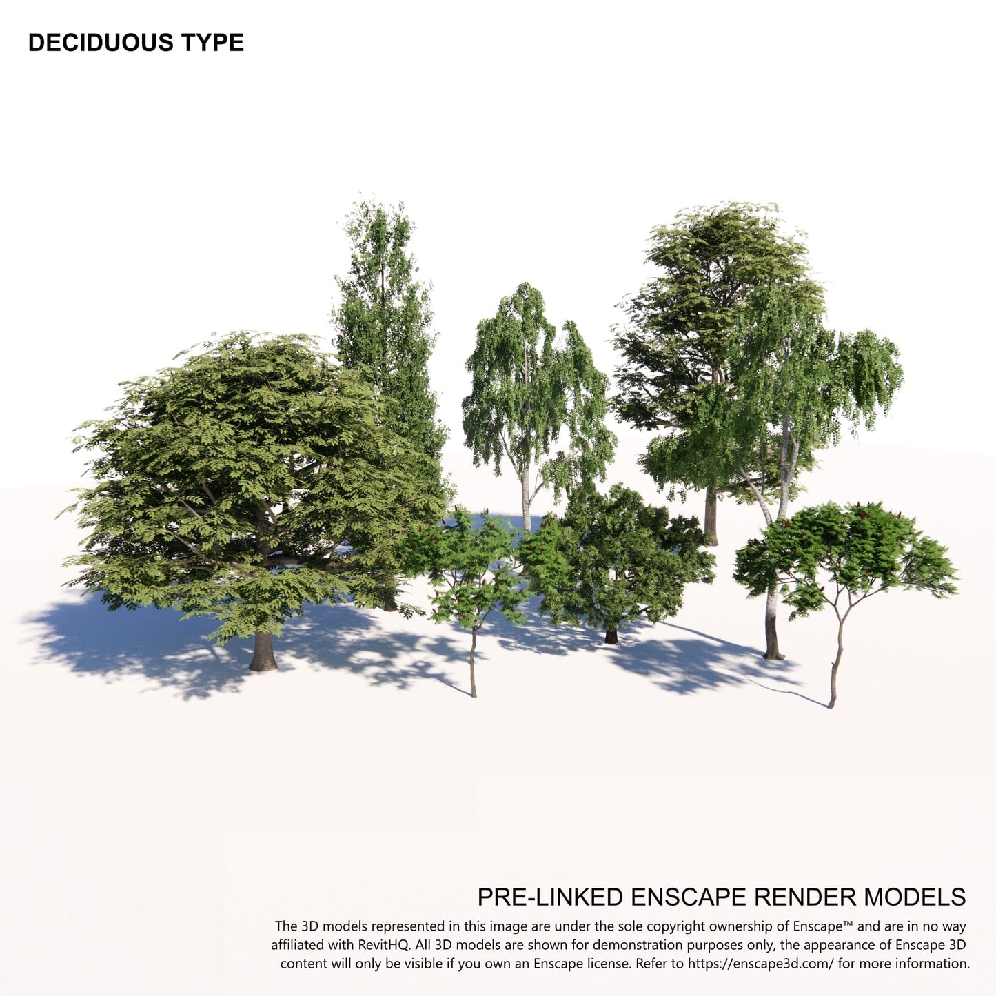 BIMcraftHQ-Planting-Deciduous Tree Pack