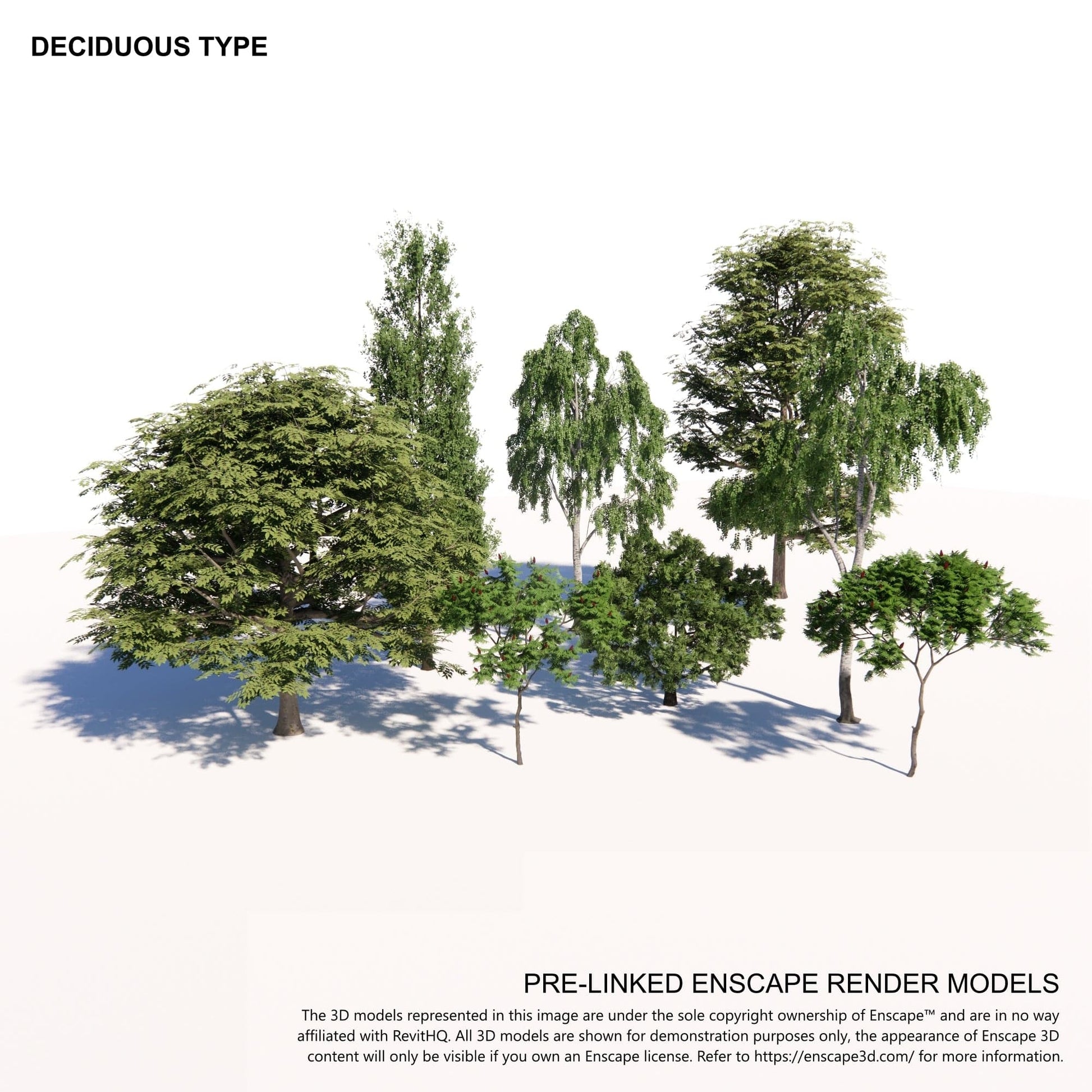 BIMcraftHQ-Planting-Deciduous Tree Pack