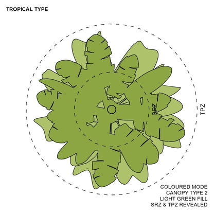 BIMcraftHQ-Planting-Tropical Tree Pack