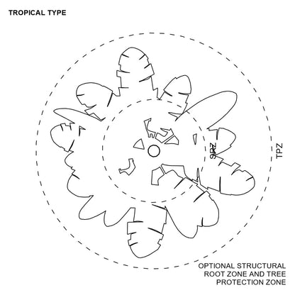 BIMcraftHQ-Planting-Tropical Tree Pack